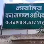 shahdol forest department