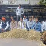 jabalpur stubble