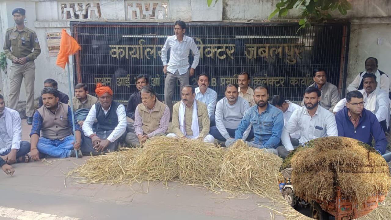 jabalpur stubble