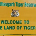 Bandhavgarh Tiger Reserve