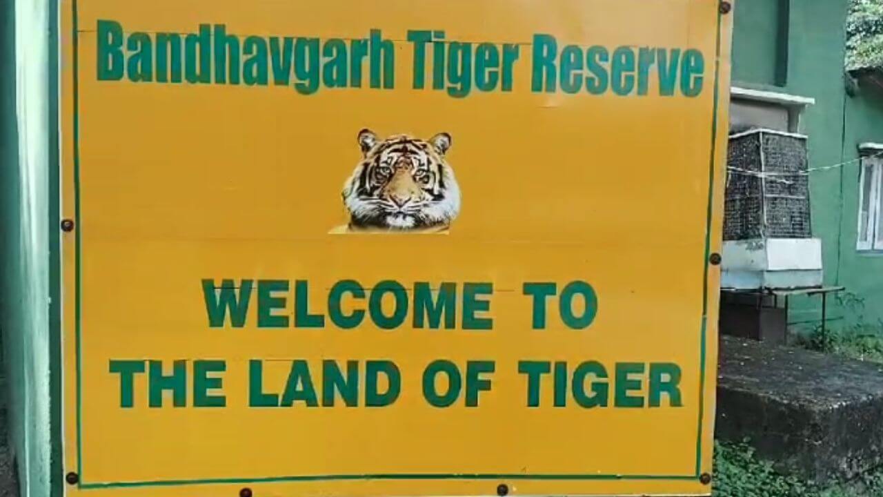 Bandhavgarh Tiger Reserve