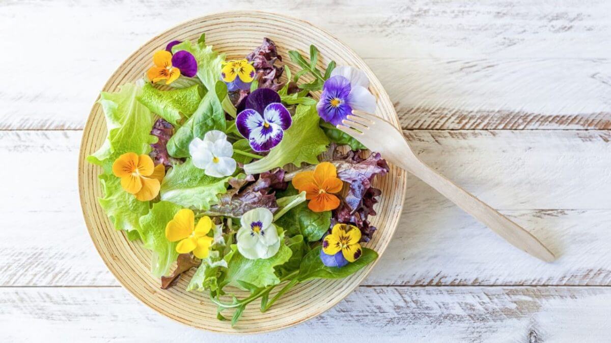 edible flowers