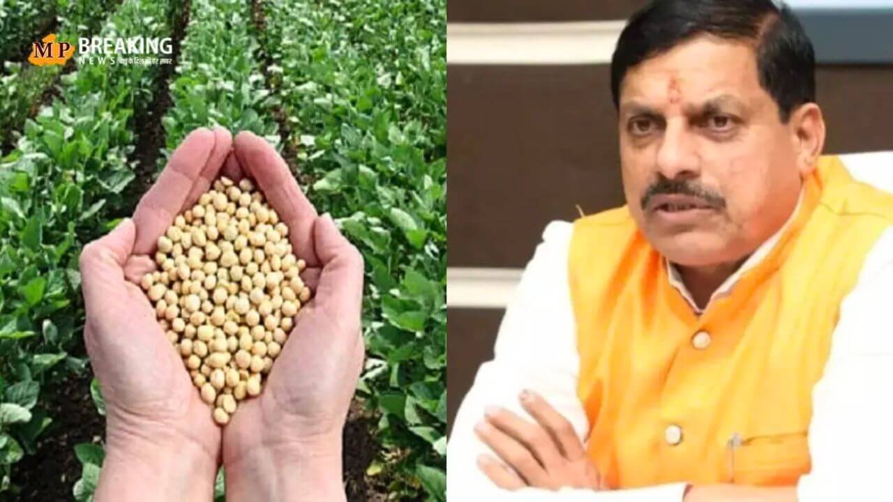 Soybean CM Mohan Yadav