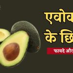 Avacado Peels Benefits and ways to use it