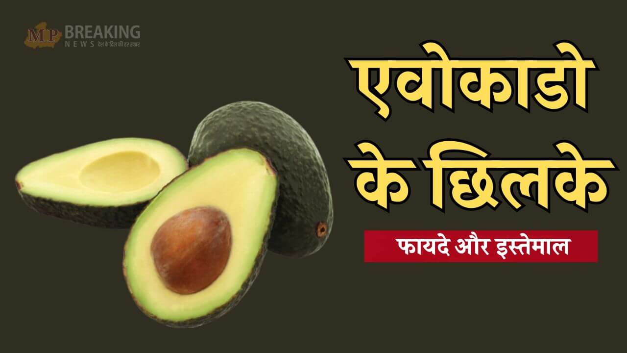 Avacado Peels Benefits and ways to use it