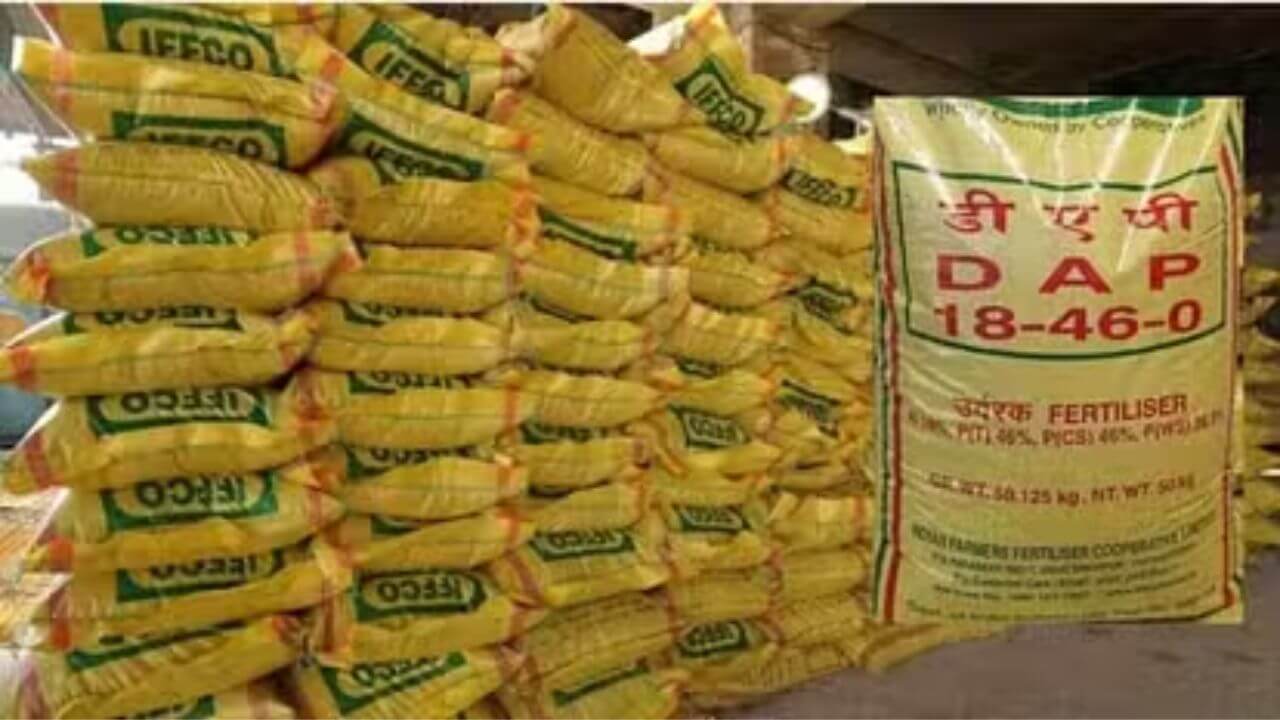 DAP fertilizer