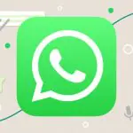 WhatsApp Feature