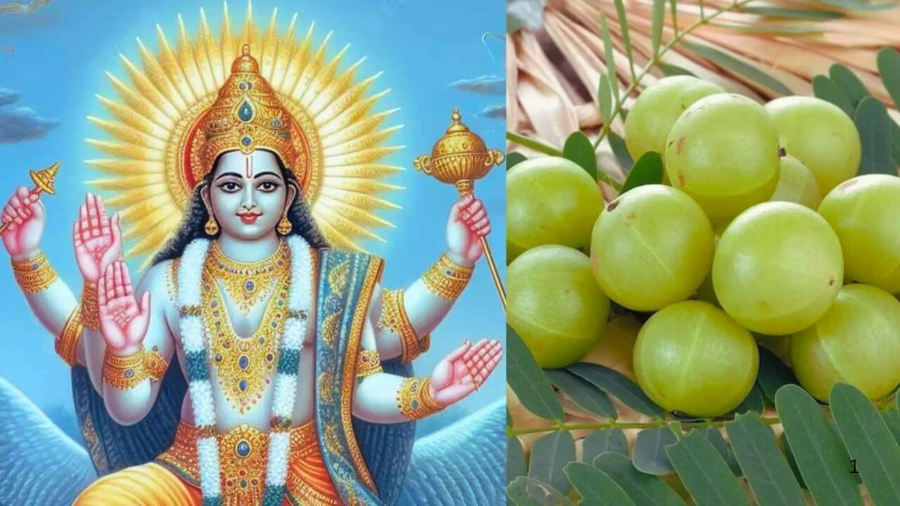 Amla Ekadashi 2025