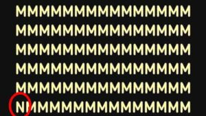 Visual Illusion Puzzle