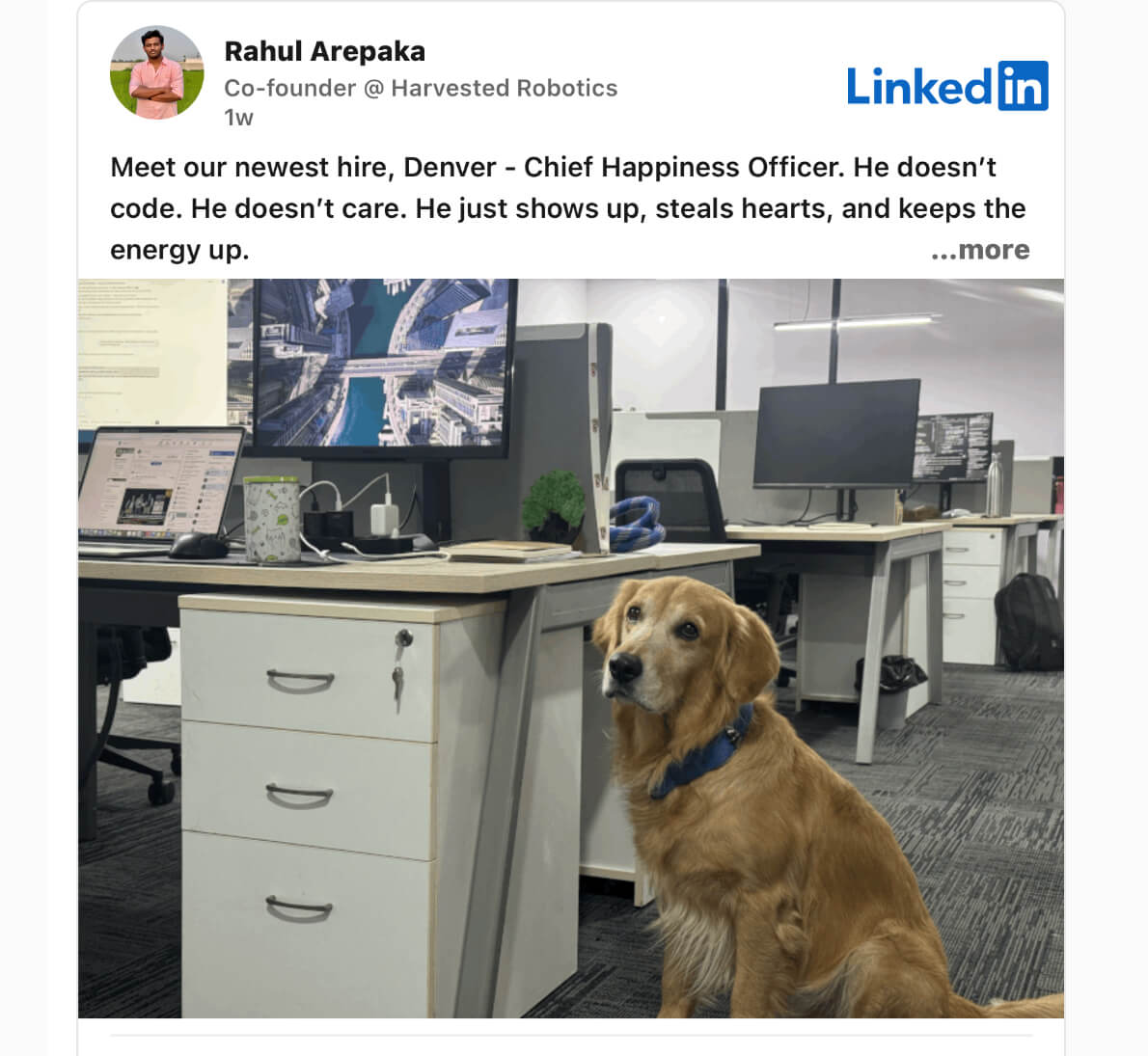 Startup hires dog as CHO