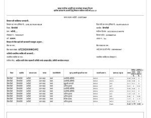 Singrauli corruption 3