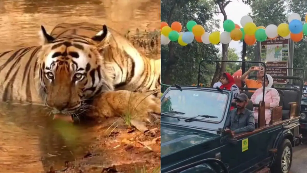 Bandhavgarh Tiger Reserve